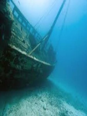cover image of Voyage